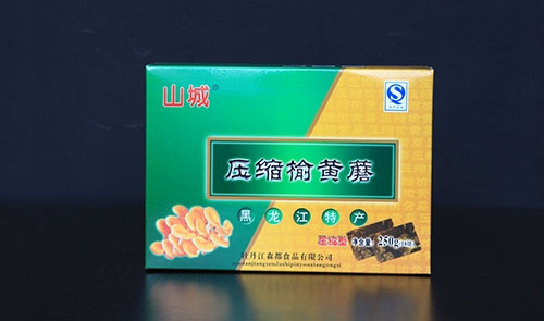 佳木斯壓縮榆黃蘑